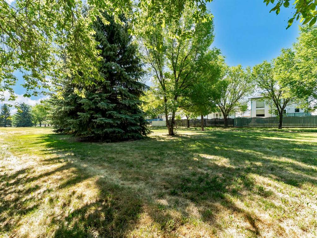 87 Shaw Crescent SE
