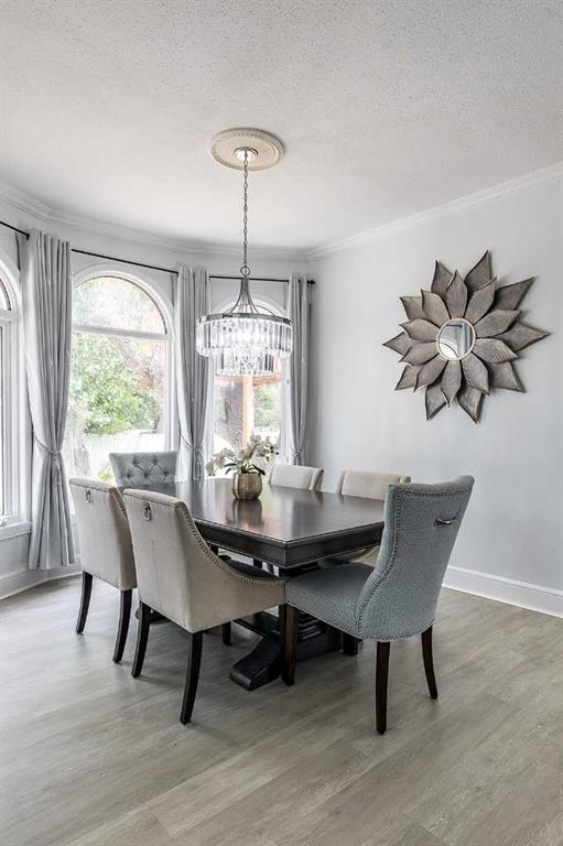 19 8th Street NE