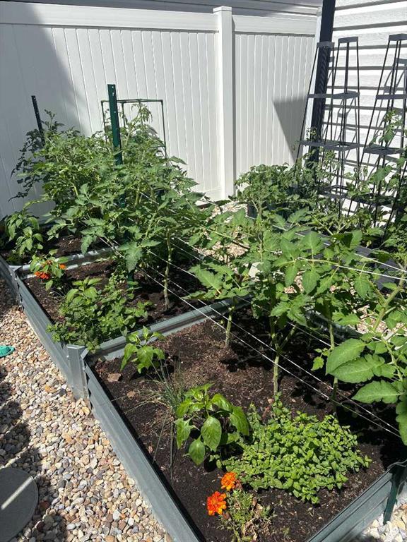 143 Stapeford Crescent SE