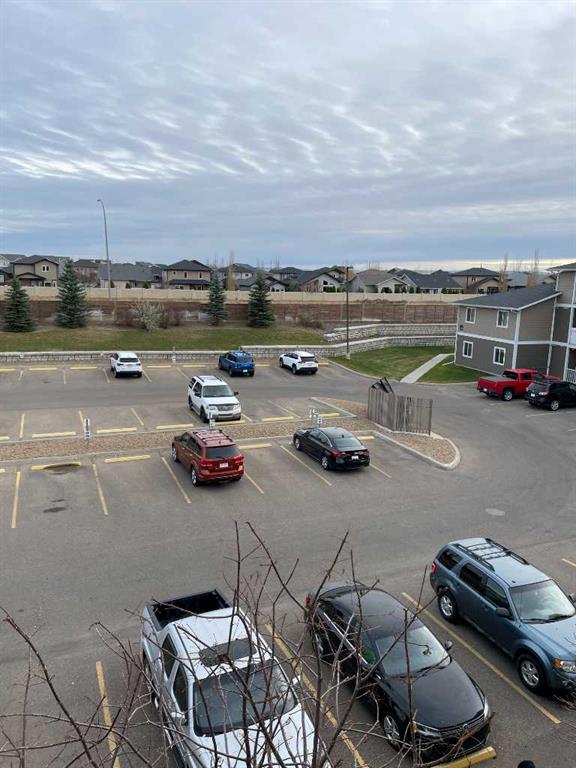 339 Southlands Pointe  SE