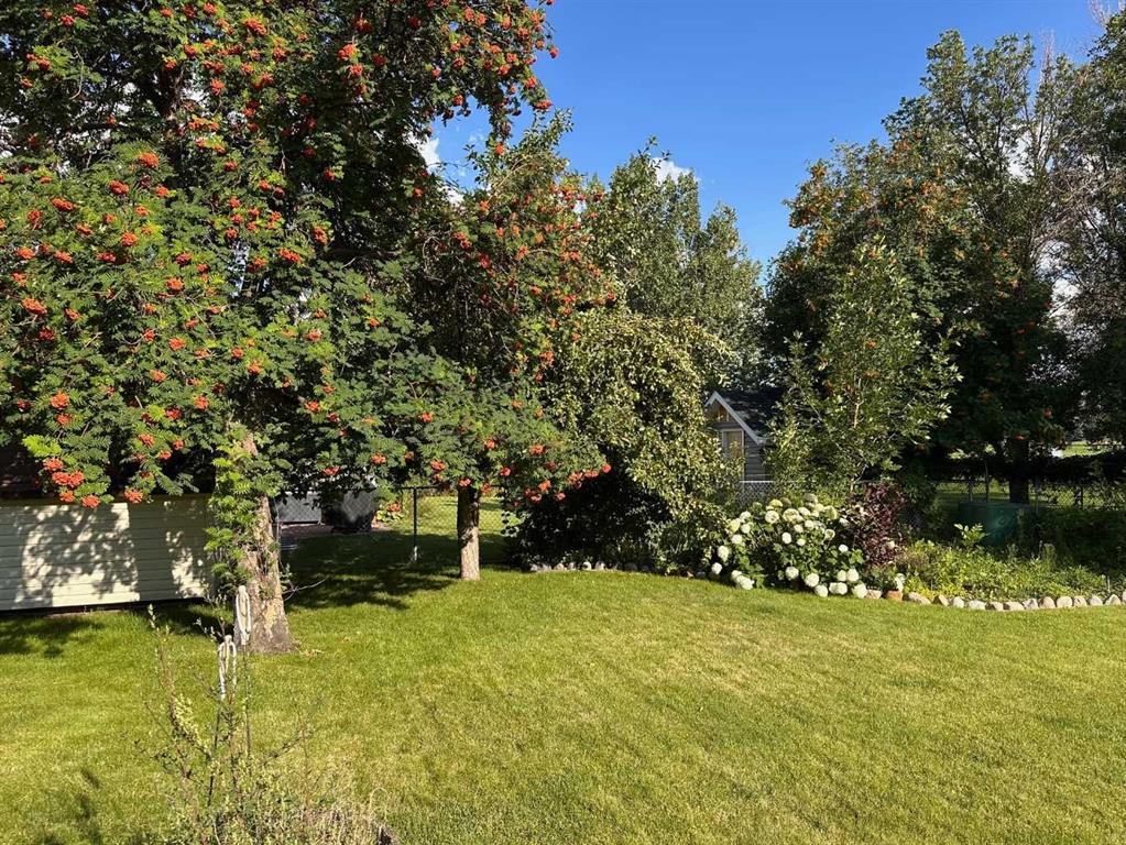 19 Clematis Court SE